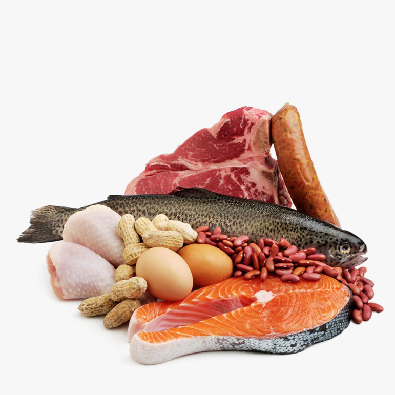 Meat & Fish