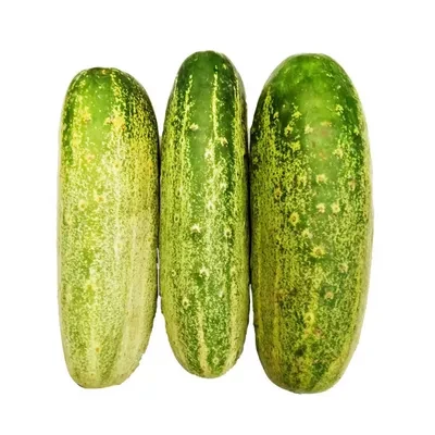 Deshi Khira