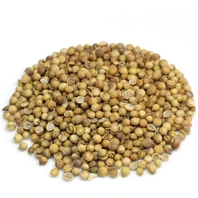 Coriander